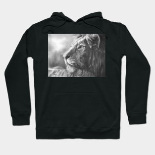 Courageous lion portrait Hoodie